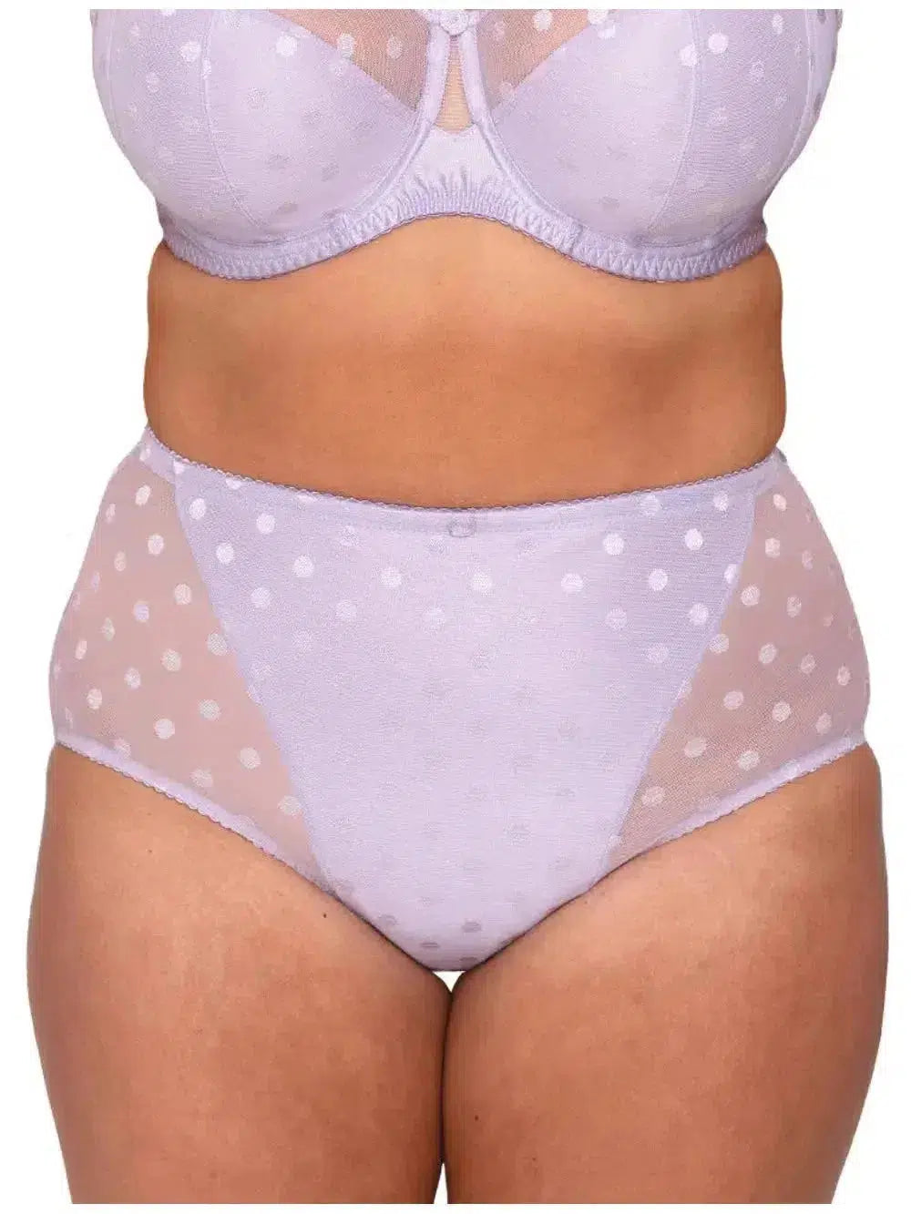Women's high - waisted briefs with a lace trimLilac Carmen High Rise Briefs