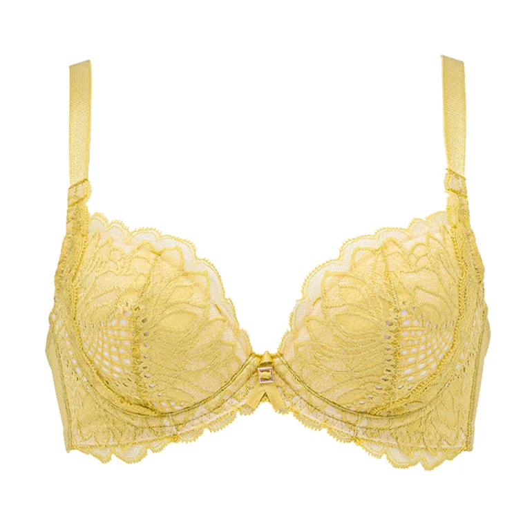 plus size bralette bras for comfortNaomi Push-Up Plunge Bra 22A1